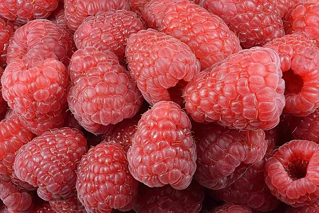 Can Bearded Dragons Eat Raspberries?