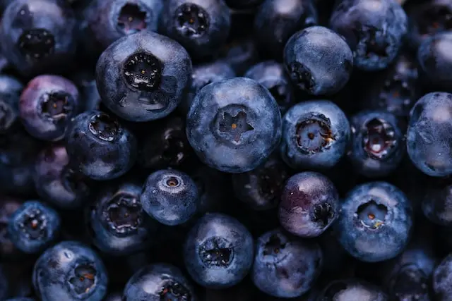 Can rabbits Eat blueberries?